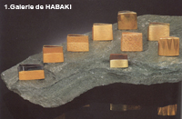 habaki galerie